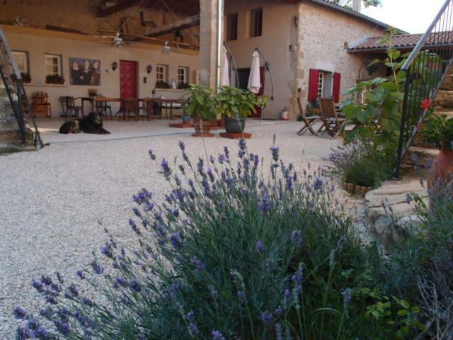 Bed and Breakfast Ferme Robin Marsaz Zewnętrze zdjęcie